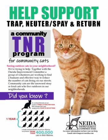 Oneida Community Cats Committee Support Fundraiser Flyer
