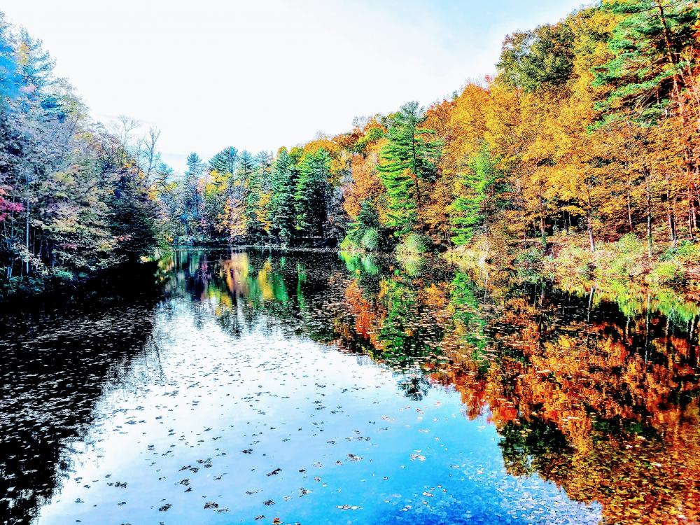 Mount Hope Reservoir  Oneida New York